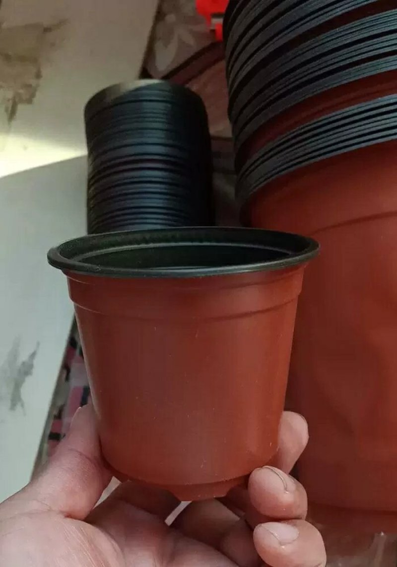 双色盆一次性花盆育苗盆营养钵简易特大号花盆育苗双色花盆种