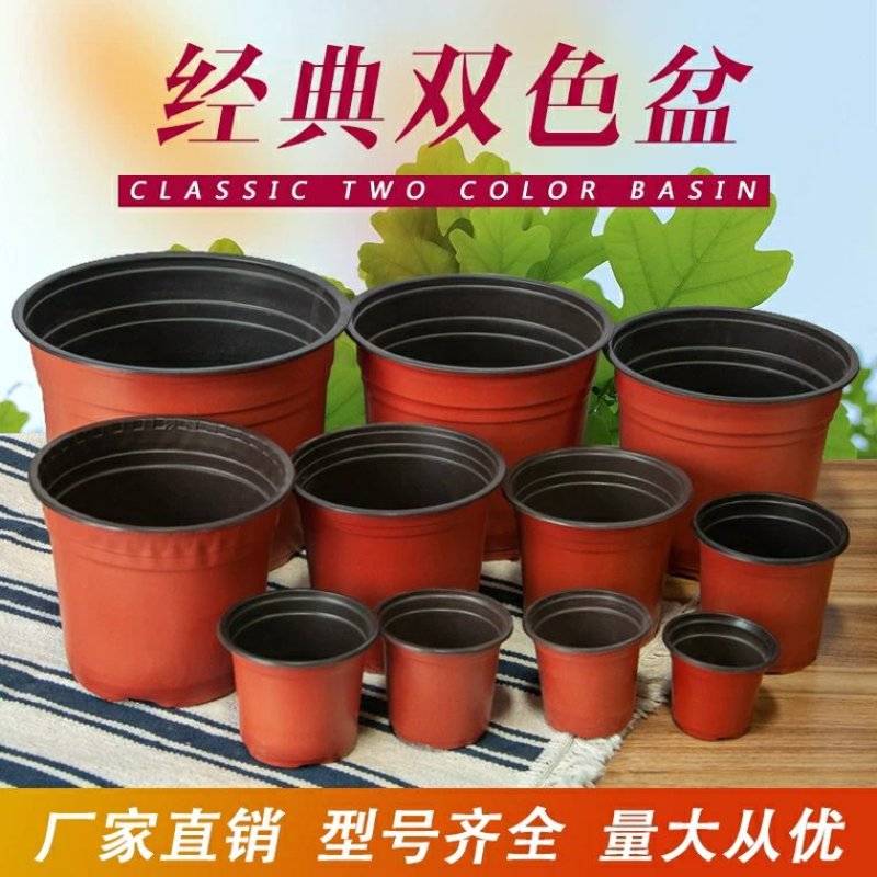 双色盆一次性花盆育苗盆营养钵简易特大号花盆育苗双色花盆种