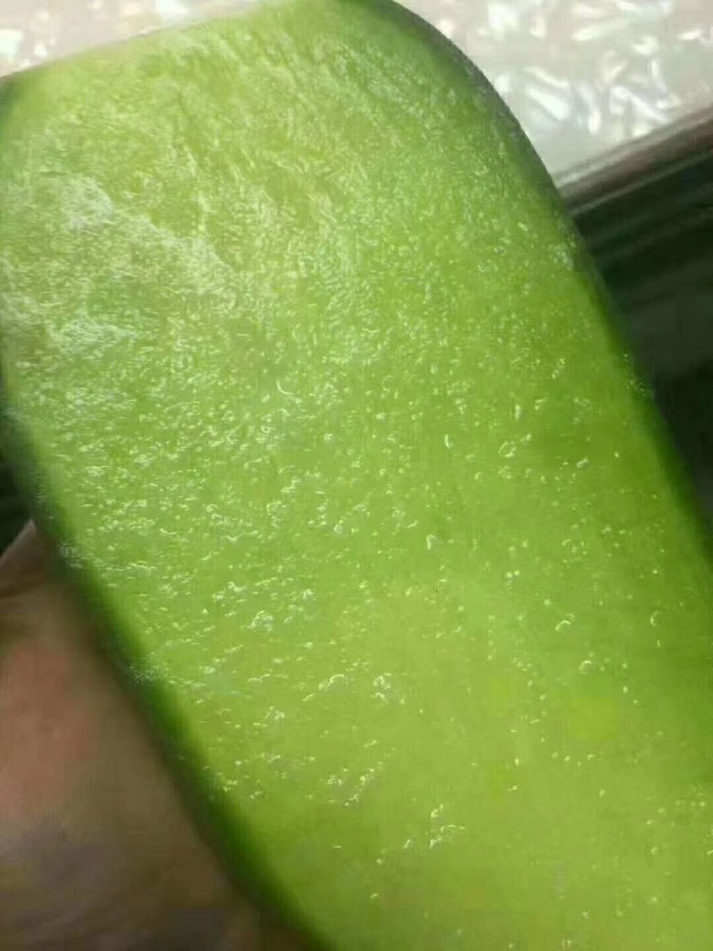 有机水果萝卜