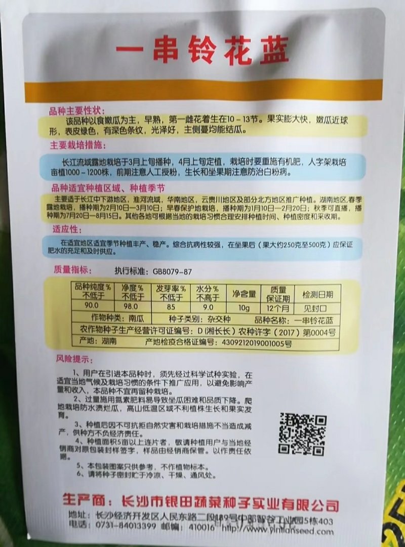 一串铃花蓝南瓜种子早熟主侧蔓均能结瓜