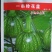 一串铃花蓝南瓜种子早熟主侧蔓均能结瓜