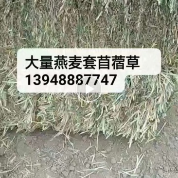 饲草