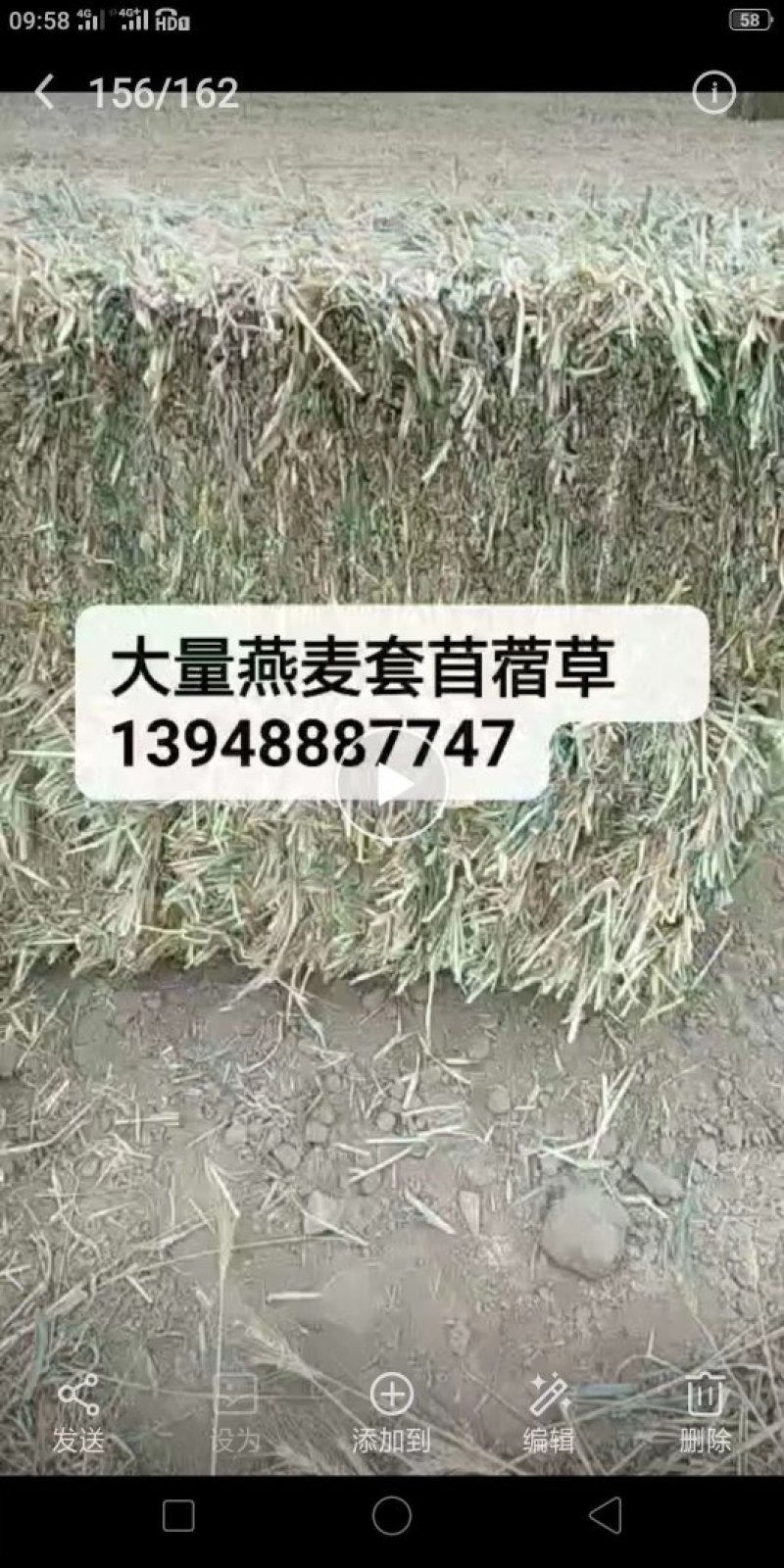 饲草