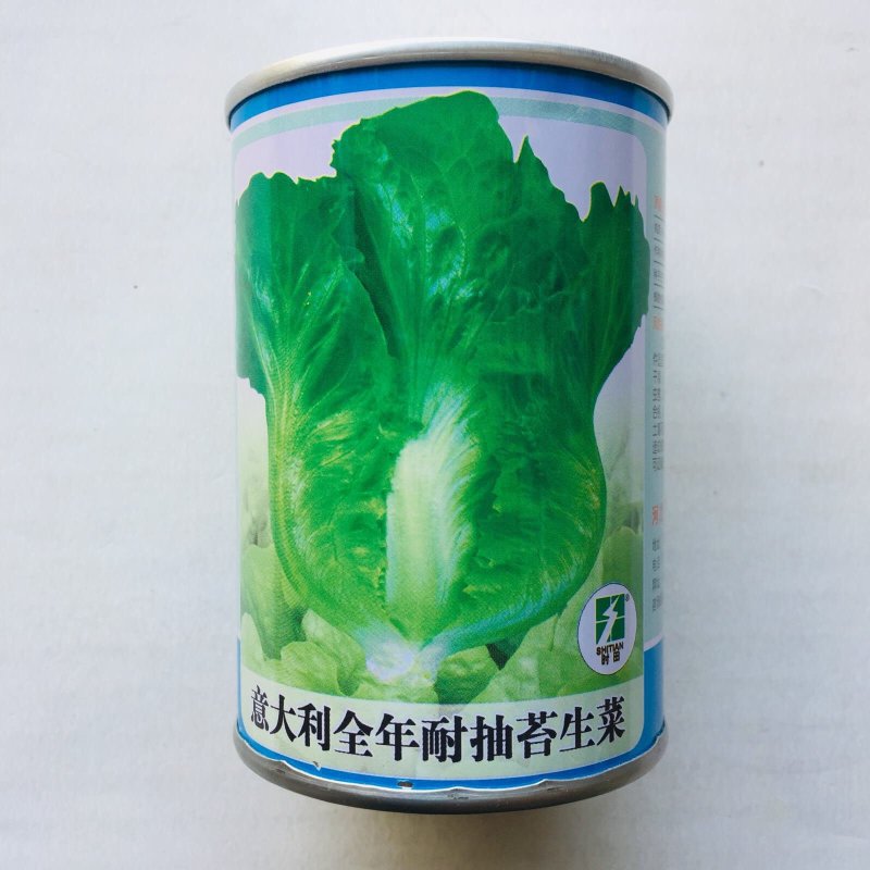 意大利全年耐抽苔生菜种子厂家直发常年供应生菜种子