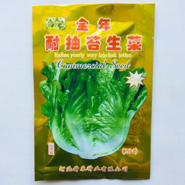 全年耐抽苔四季生菜种子半包心产量高播种后50天采收