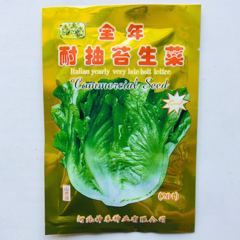 全年耐抽苔四季生菜种子半包心产量高播种后50天采收