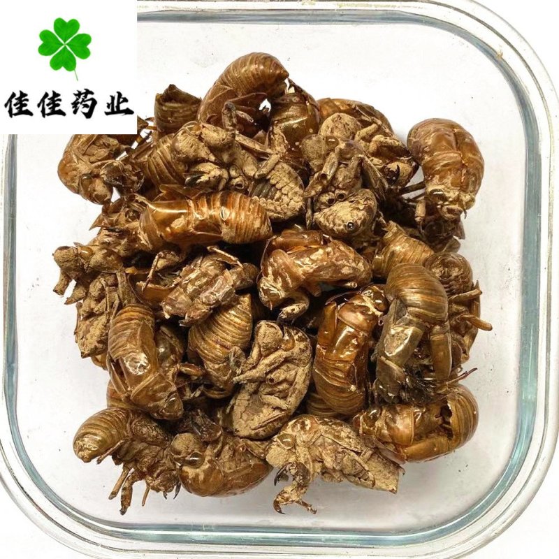 蝉蜕虫退长期供应蝉蜕品质保证欢迎联系