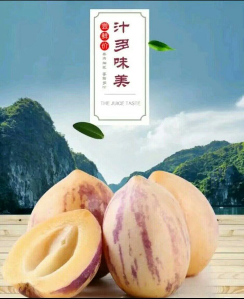 人参果