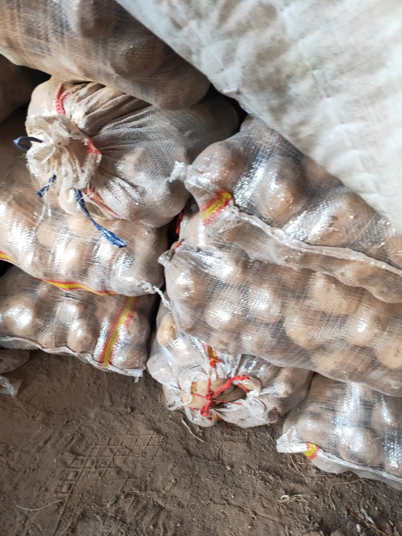 土豆，荷兰豆，品类齐全，丽暮226等，保质保量，