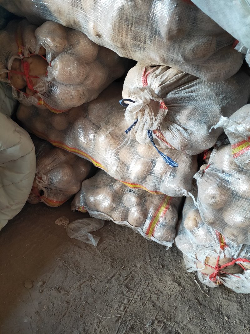 土豆，荷兰豆，品类齐全，丽暮226等，保质保量，