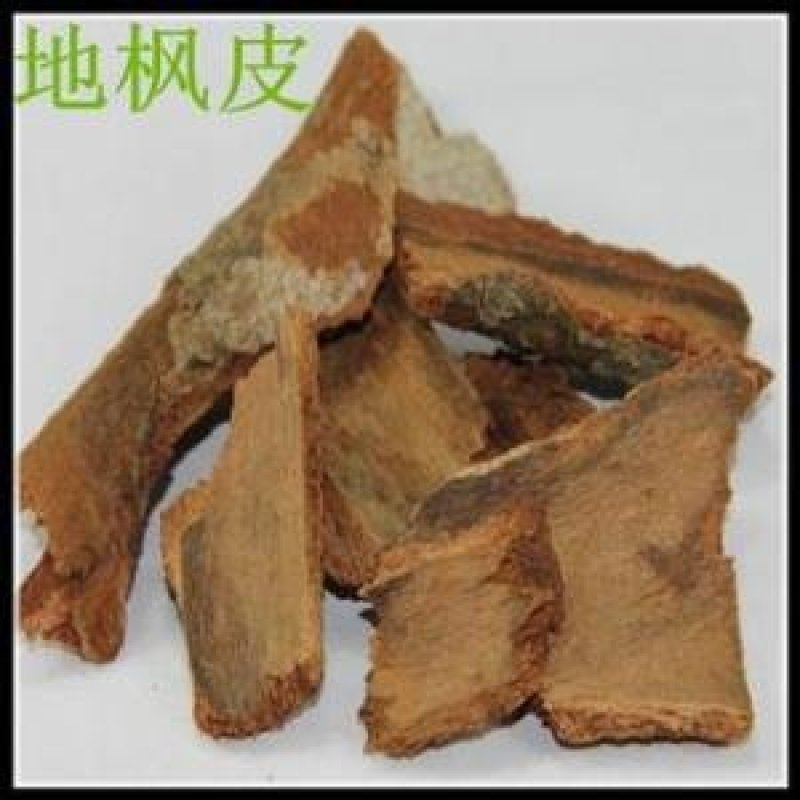 常年批发代购地枫皮广东南部货
