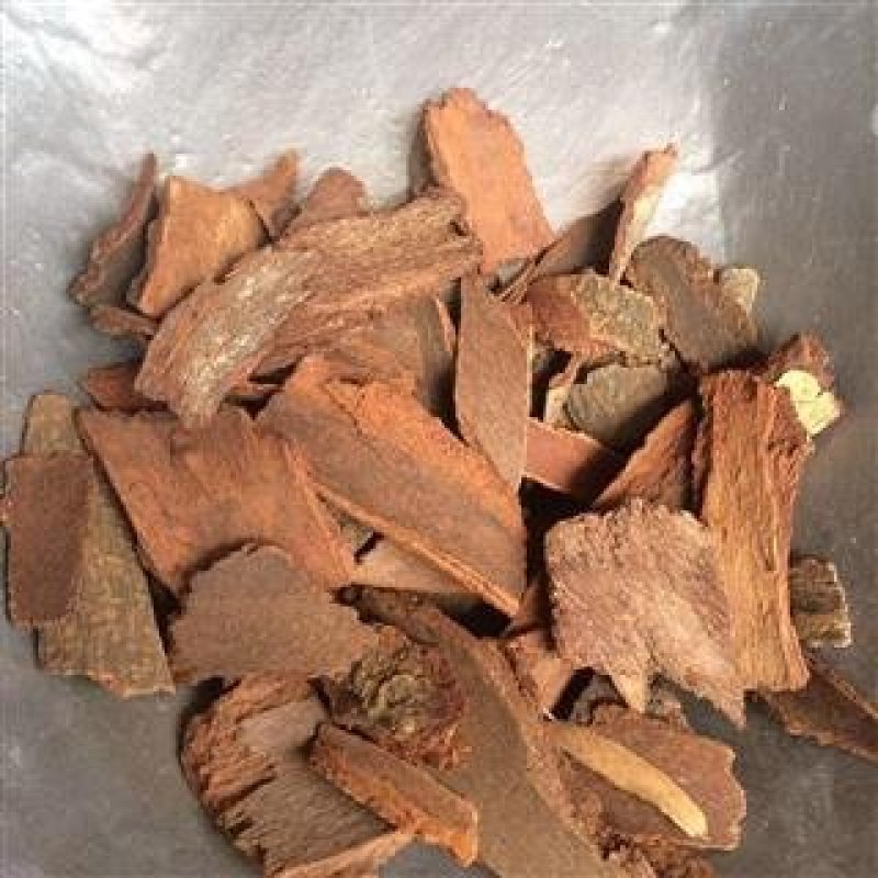 常年批发代购地枫皮广东南部货