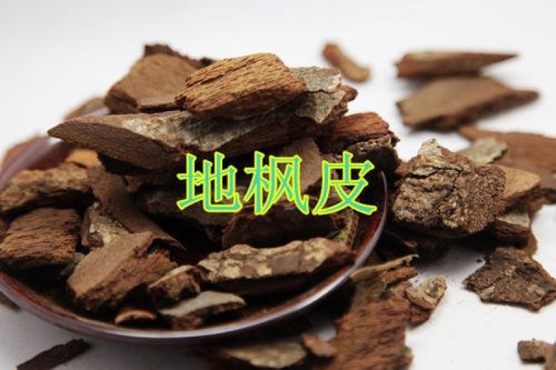 常年批发代购地枫皮广东南部货
