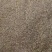 进口草坪种子日本结缕草草籽细叶结缕草种子沟叶结缕草种子