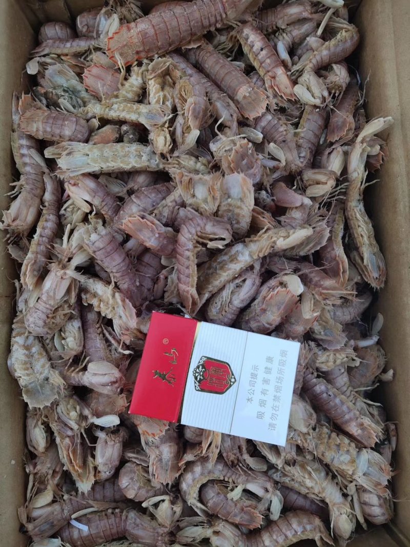 新鲜熟皮皮虾，虾爬子，琵琶虾，虾姑，产地直销