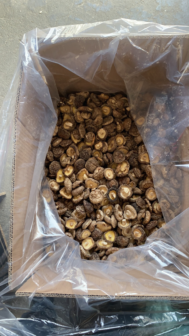 河南西峡香菇包邮干香菇香菇干货产地直销