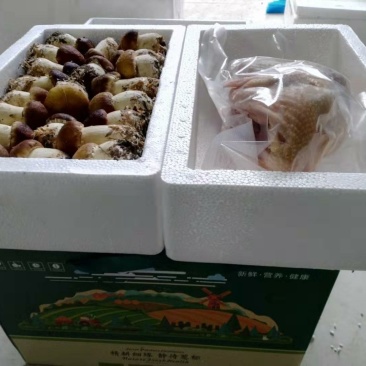 礼盒，新鲜食用菌活杀土鸡礼盒，，松茸，赤松茸，