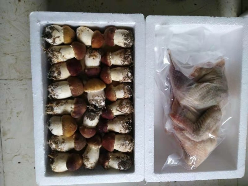 礼盒，新鲜食用菌活杀土鸡礼盒，，松茸，赤松茸，