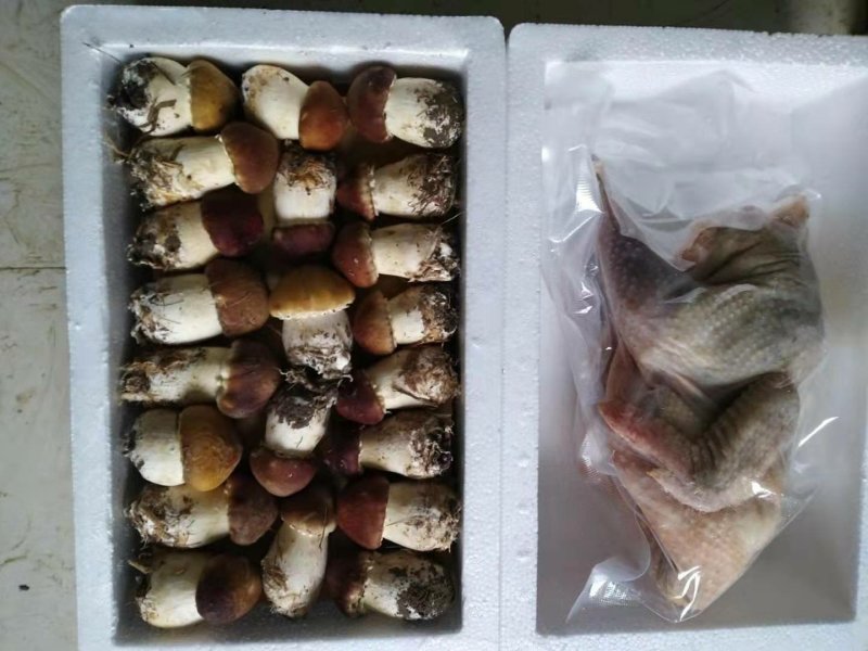 礼盒，新鲜食用菌活杀土鸡礼盒，，松茸，赤松茸，