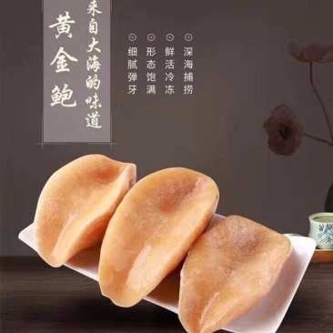 无壳澳鲍肉黄金大汉堡鲍鱼肉