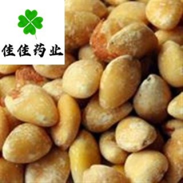 白果仁选货银杏果供应大货