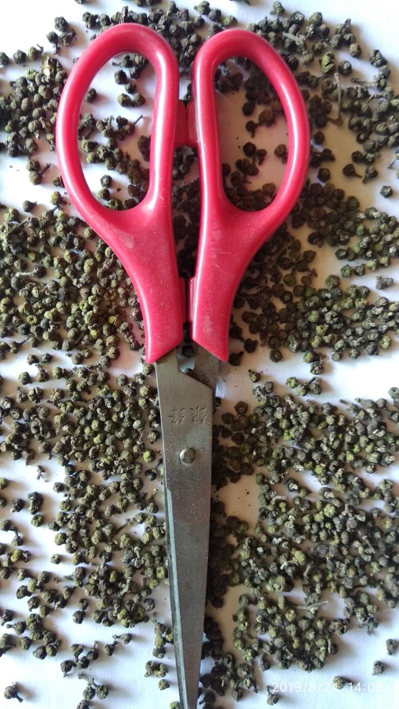 贵州铜仁吴茱萸干货气味芳香无枝杆无杂质产地直发一手货源
