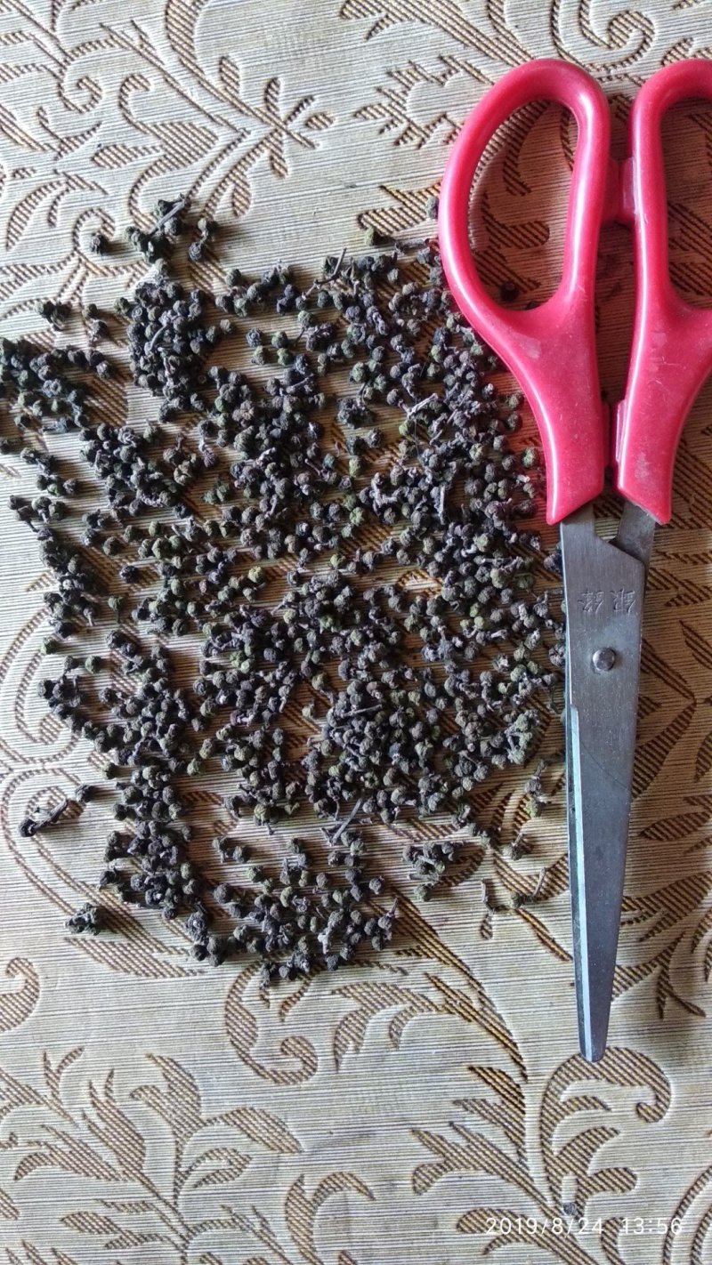 贵州铜仁吴茱萸干货气味芳香无枝杆无杂质产地直发一手货源