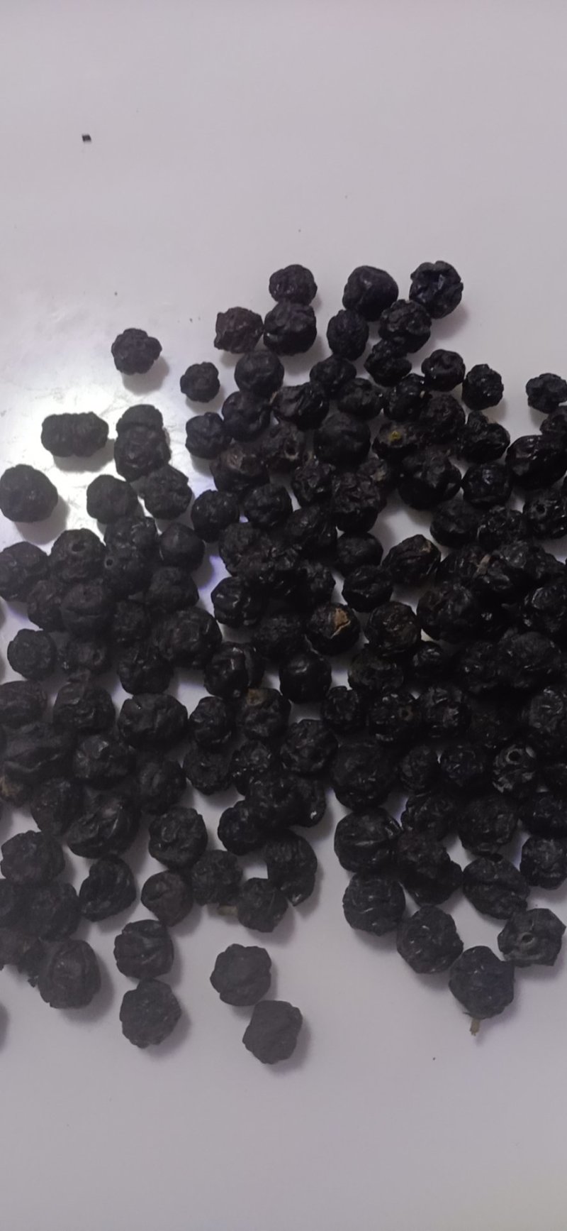 黄柏籽，黄菠萝果，干品黄柏果
