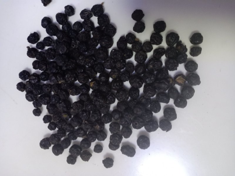 黄柏籽，黄菠萝果，干品黄柏果