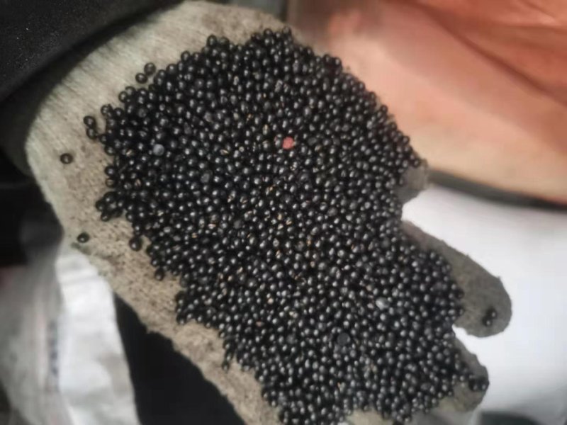 花椒种子