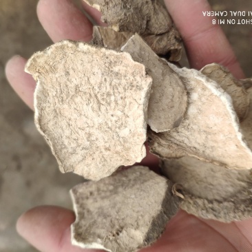 白药子山乌龟山药根货好量大代抓各种药方