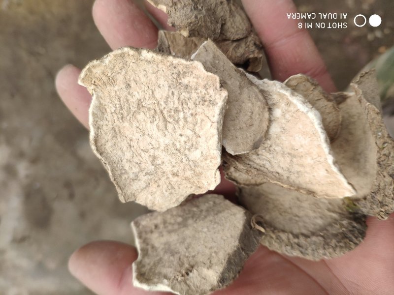白药子山乌龟山药根货好量大代抓各种药方