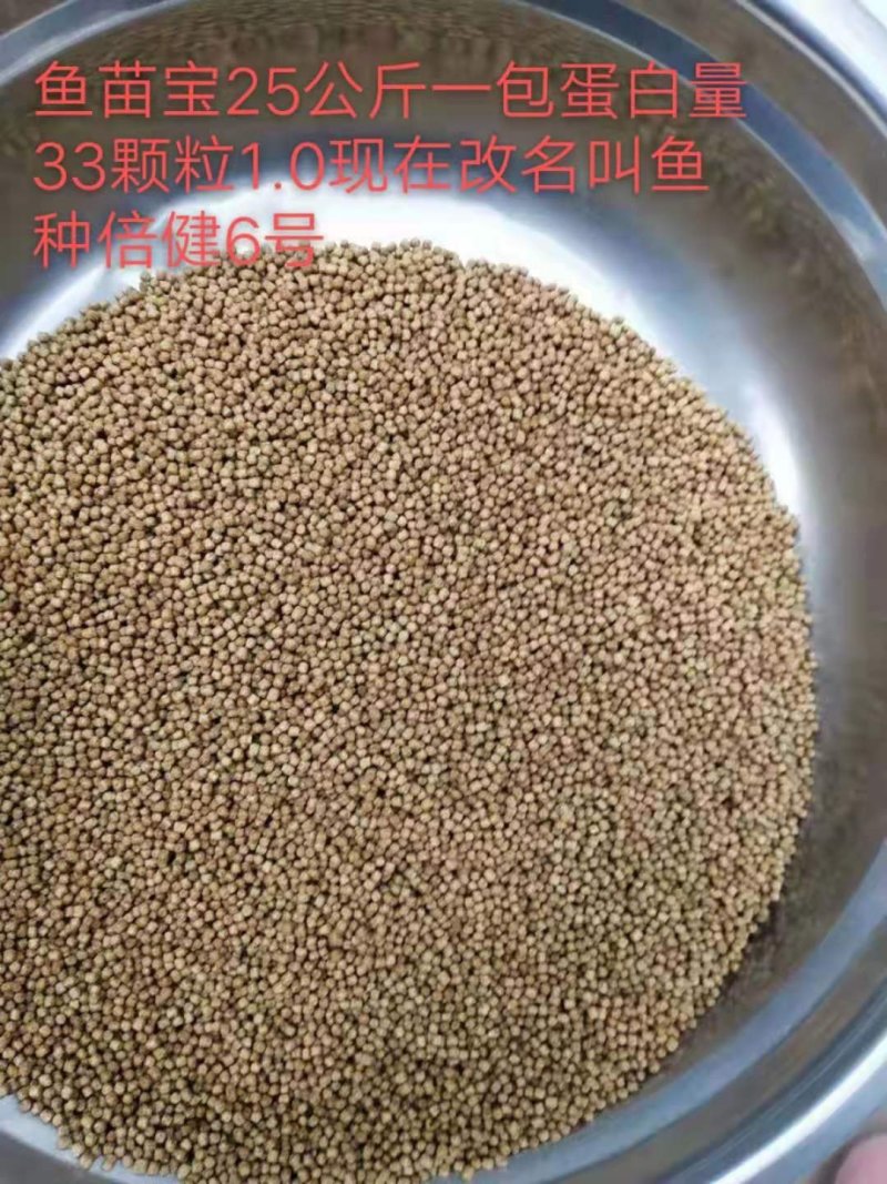 通威鱼饲料鱼苗宝鱼种倍健6号甲鱼黄鳝泥鳅黑鱼等鱼苗饲料