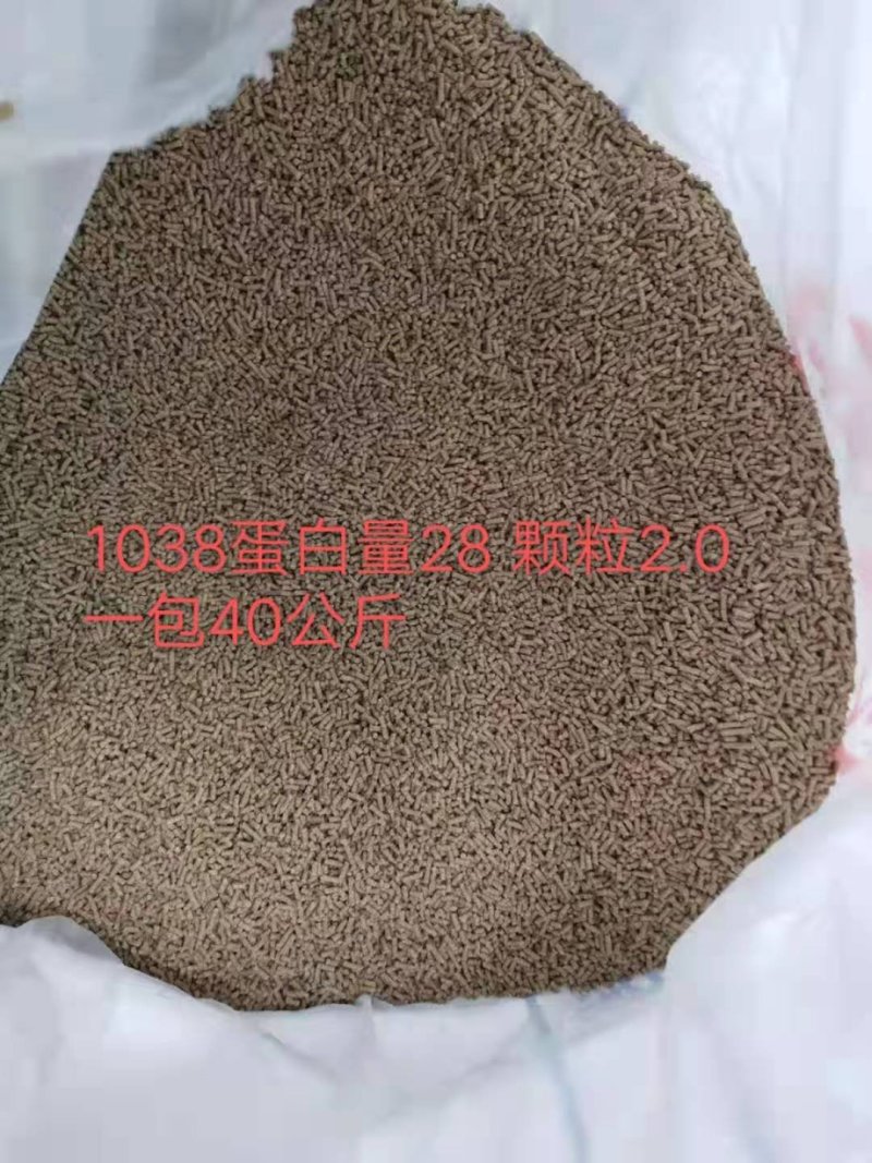 鱼饲料通威泥鳅黄鳝甲鱼草鱼黑鱼等鱼苗专用饲料包邮发货