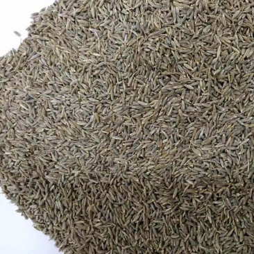 进口孜然颗粒印度孜然孜然土豆烧烤撒料