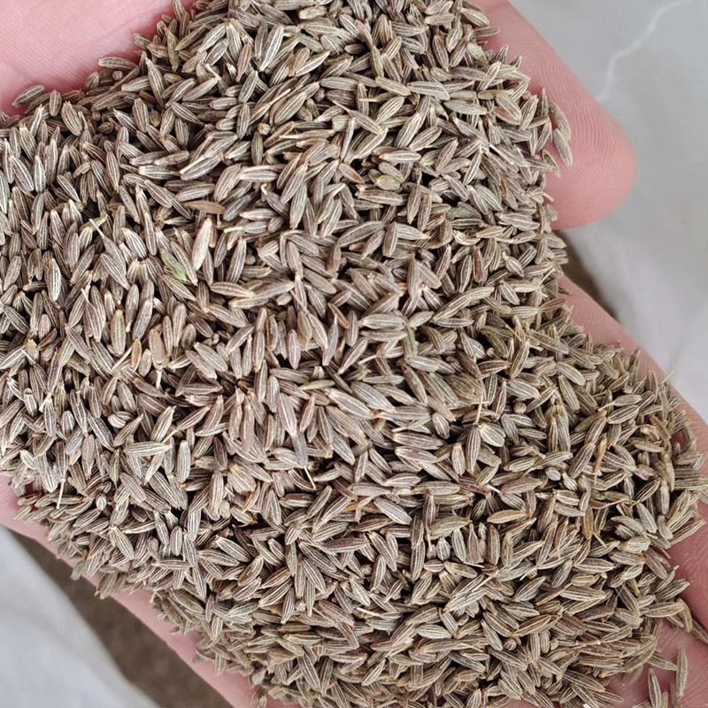 进口孜然颗粒印度孜然孜然土豆烧烤撒料