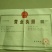 香椿树苗南方北方种植庭院盆栽地栽香椿芽春天树绿油红油香椿