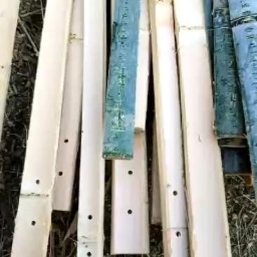 大棚竹片、小拱棚竹片、葡萄架竹片，定做各种尺寸竹片！