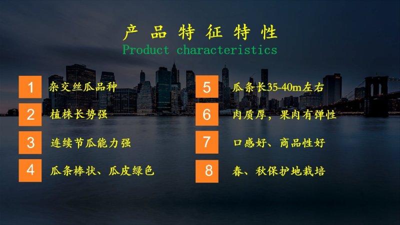 【包邮】乾德爱瑞丝杂交丝瓜种子肉丝瓜春秋茬口蔬菜品种