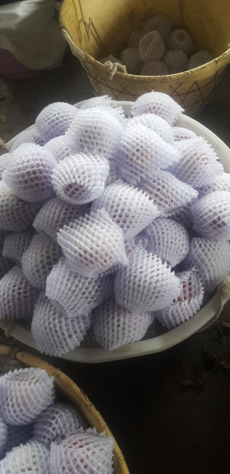 糖心苹果