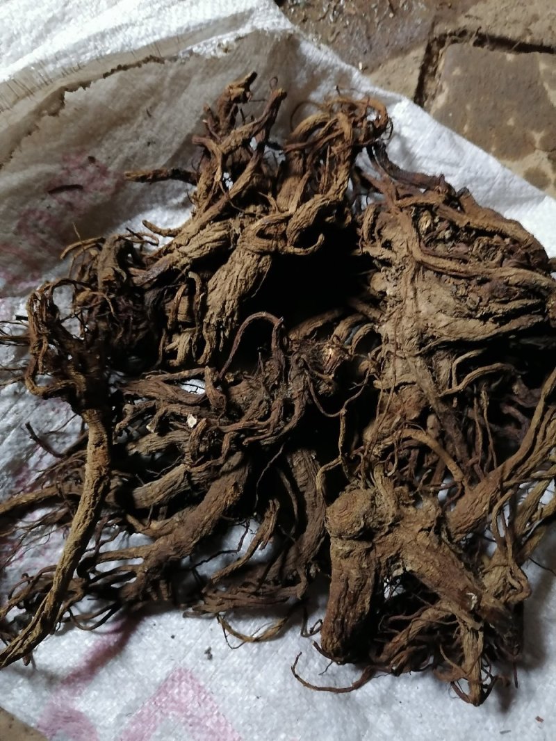 肉独活，全新干货。优质高哈量。〈药房专用〉