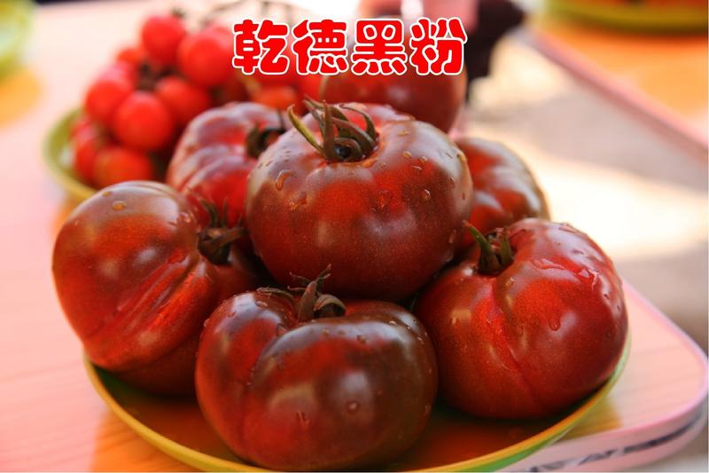 【包邮】乾德黑粉黑粉果番茄种子特色蔬菜春秋栽培