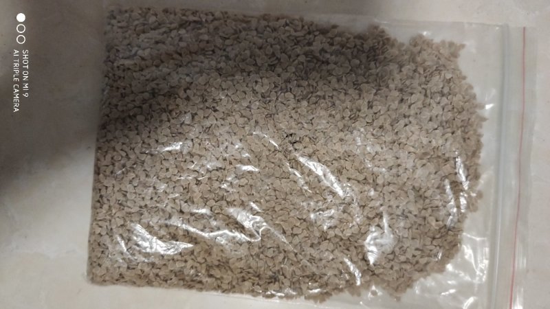 【包邮】乾德黑粉黑粉果番茄种子特色蔬菜春秋栽培