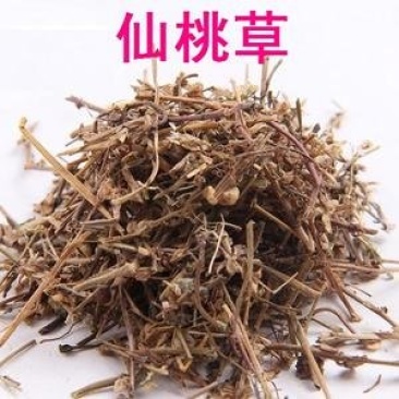 常年批发代购仙桃草量大从优