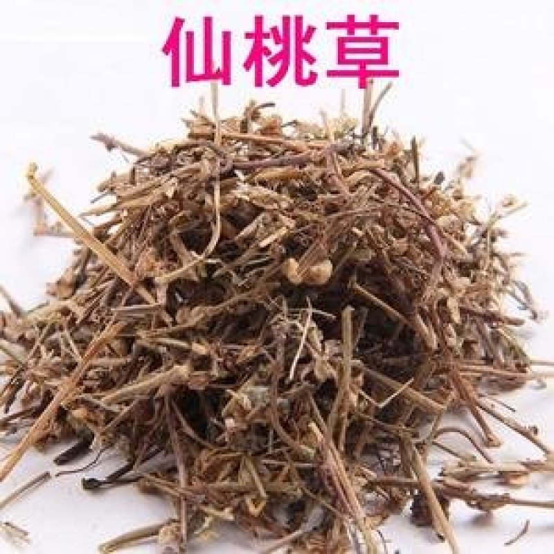 常年批发代购仙桃草量大从优