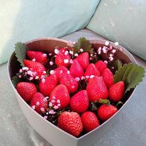 欣悦草莓庄园