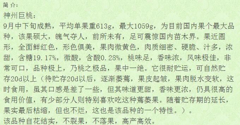 新品种桃树苗神州巨桃苗单果重1059克9月成熟