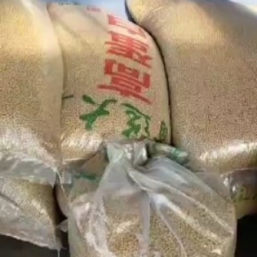 科学熟榨豆油，脱水脱腥，可直接食用，无勾兑添加信用第一