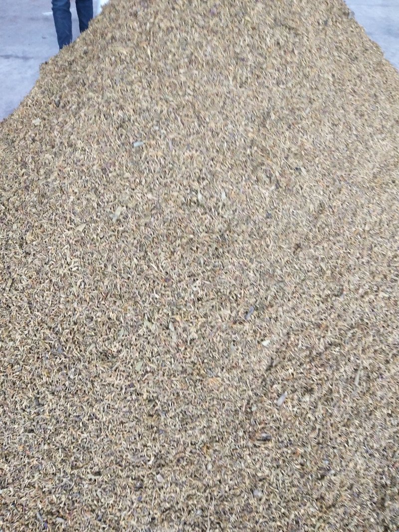 四川金银花，产地一手货源一级干花量大提前预约