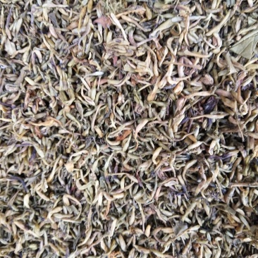 四川金银花，产地一手货源一级干花量大提前预约